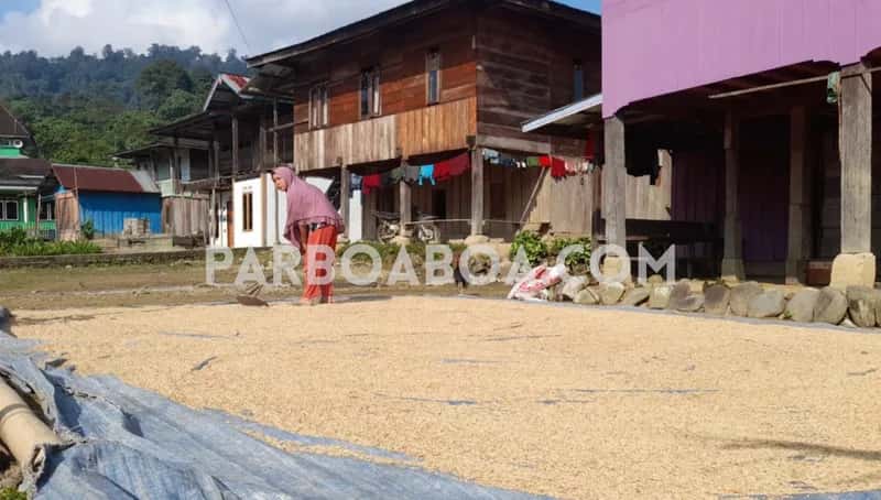 Memagari Padi Riun melalui Payung Hukum