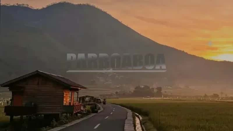 Saat Sawah Memanggil Orang-Orang Datang
