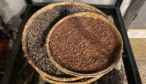 Secangkir Cerita dari Kopi Simalungun