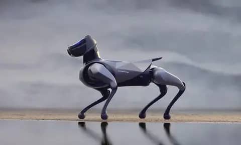 Peliharaan Masa Depan, Ini 8 Negara yang Berhasil Ciptakan Robot Anjing