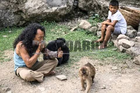 Primata, Karma, dan Hutan Sibaganding yang Terus Menyusut