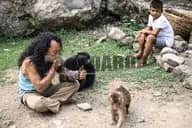 Primata, Karma, dan Hutan Sibaganding yang Terus Menyusut