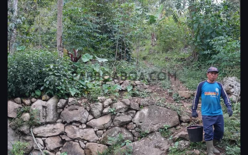 Setahun lalu ia mengambil langkah besar pulang permanen ke Pusuk Buhit.