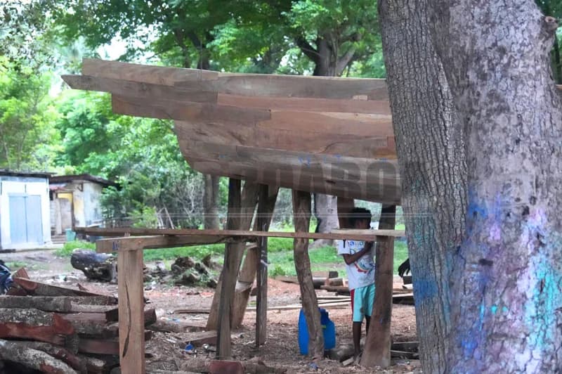 ‘Orang Sulawesi’—begitu sebutan penduduk setempat—yang melakukannya.