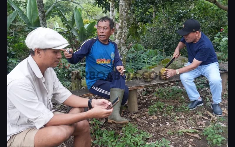 Mantan Guru Prosus Inten Bekasi ini kini bertani di  Pusuk Buhit