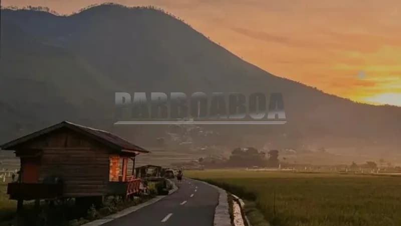 Saat Sawah Memanggil Orang-Orang Datang