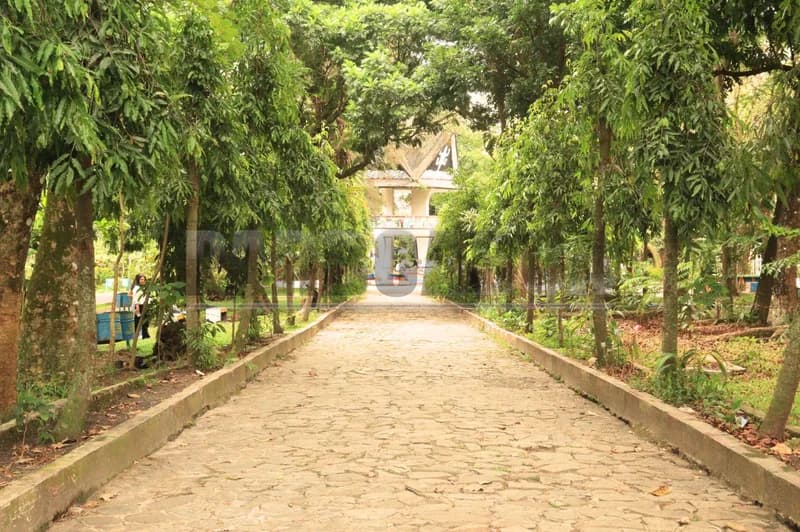 Keasrian Lapangan Merdeka Pematangsiantar (PARBOABOA/Rizal Tanjung)