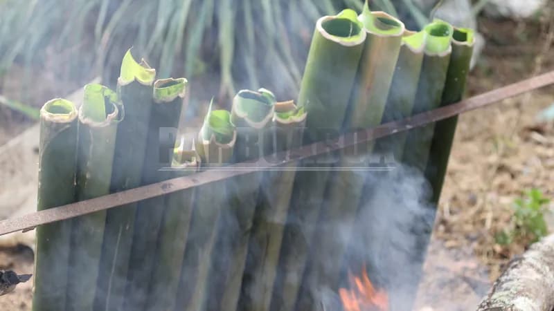 Deretan lemang menghadap perapian untuk dimasak dalam tradisi mangalomang (Foto: Hikmah/PARBOABOA)