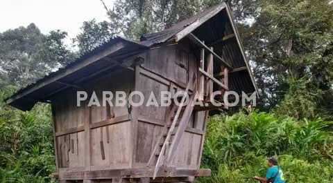 Merawat Kedaulatan Pangan di Kawasan Terisolasi Bengkulu