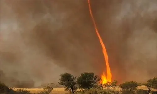 Fenomena Tornado Api Terbesar di Dunia, Lengkap dengan Proses Terjadi, Dampak, dan Cara Persiapan yang Tepat